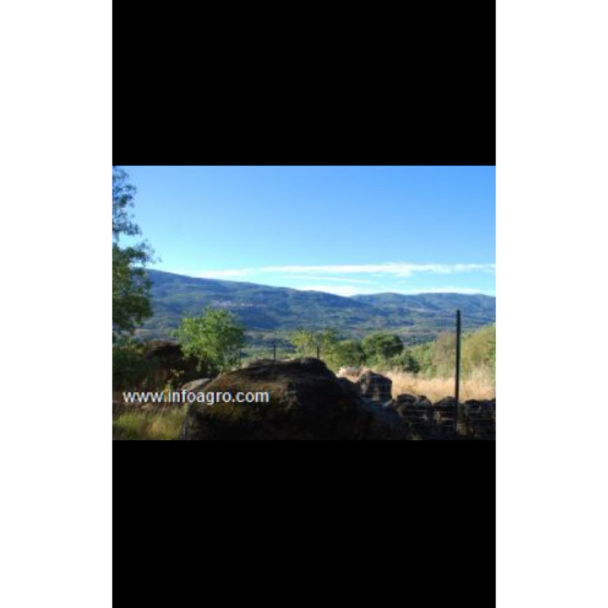 Se vende el ultimo molino del valle del jerte
