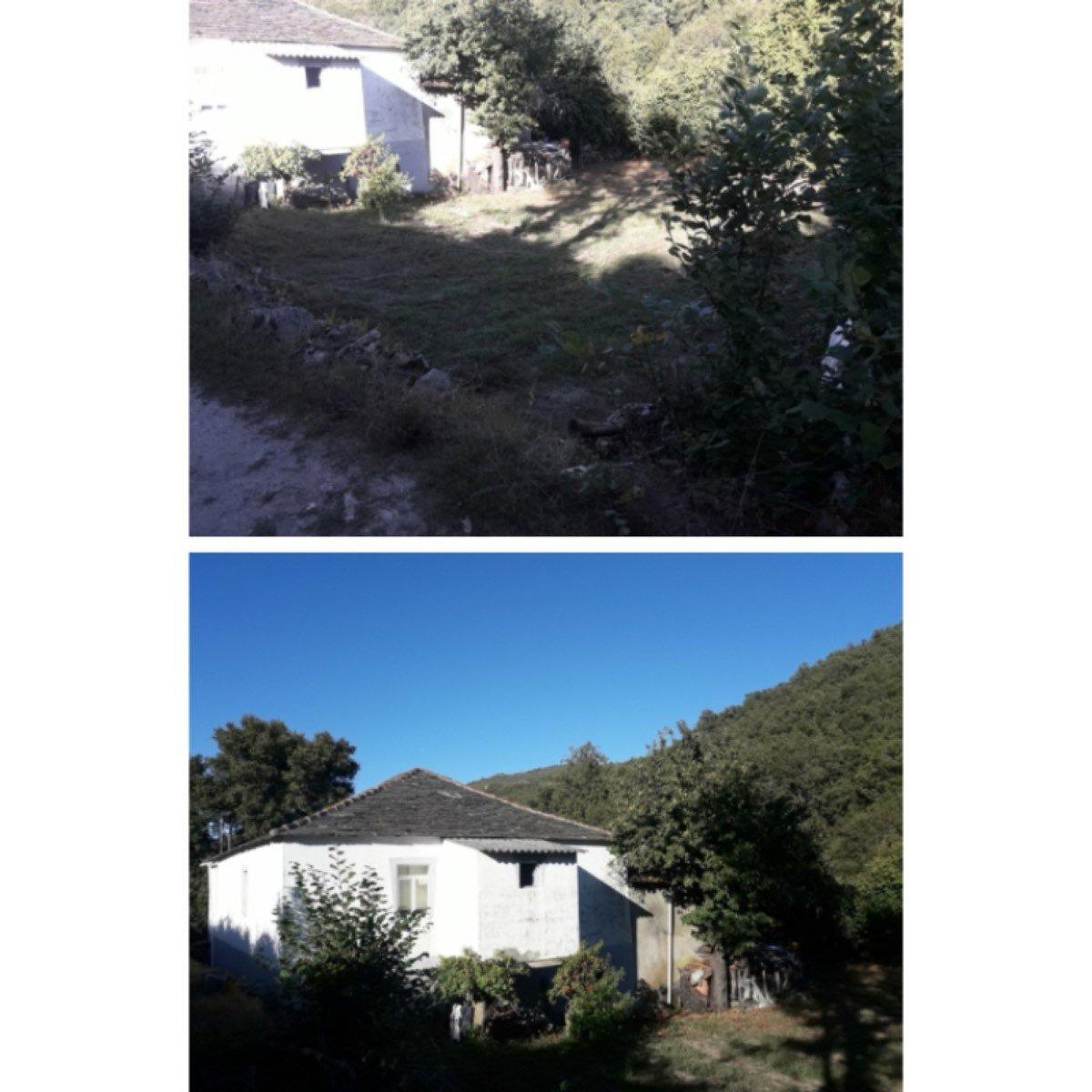 CASA EN PLANTA BAJA CON PATIO