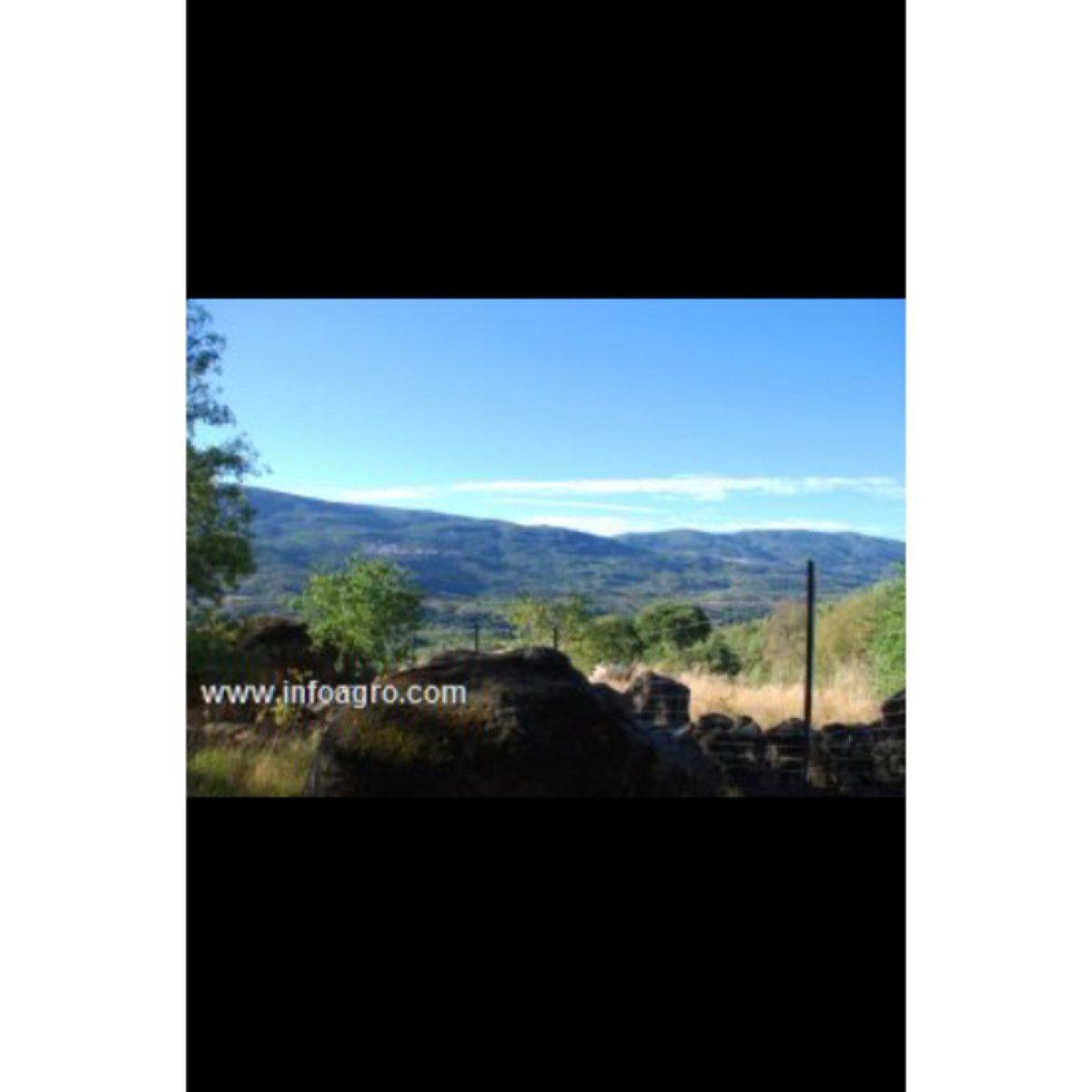 Se vende el ultimo molino del valle del jerte