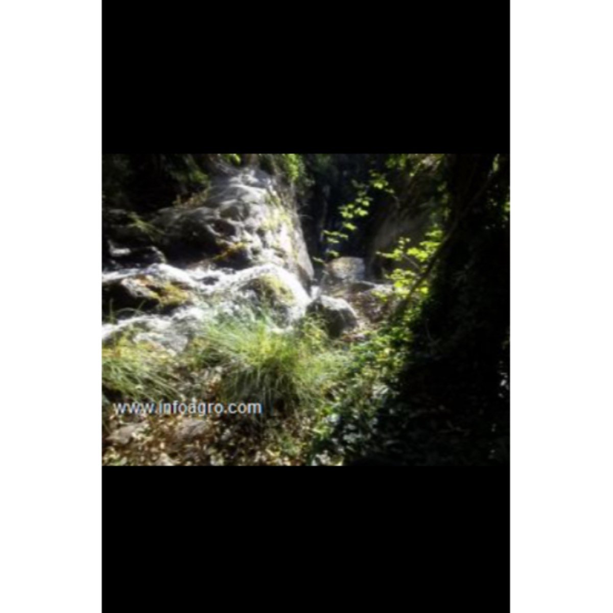 Se vende el ultimo molino del valle del jerte