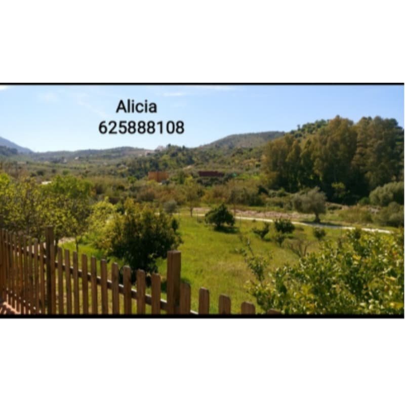 PINOS DE ALHAURÍN - PERIFERIA