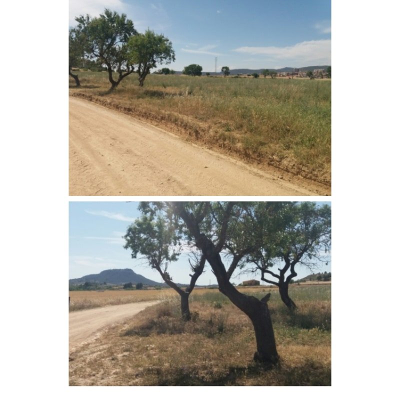 IGUALADA. RONDA DEL REC