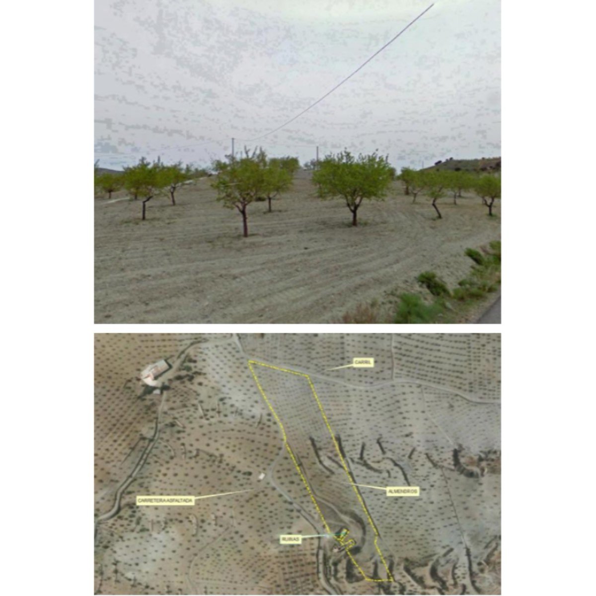 FINCA DE ALMENDROS CON ALMACEN