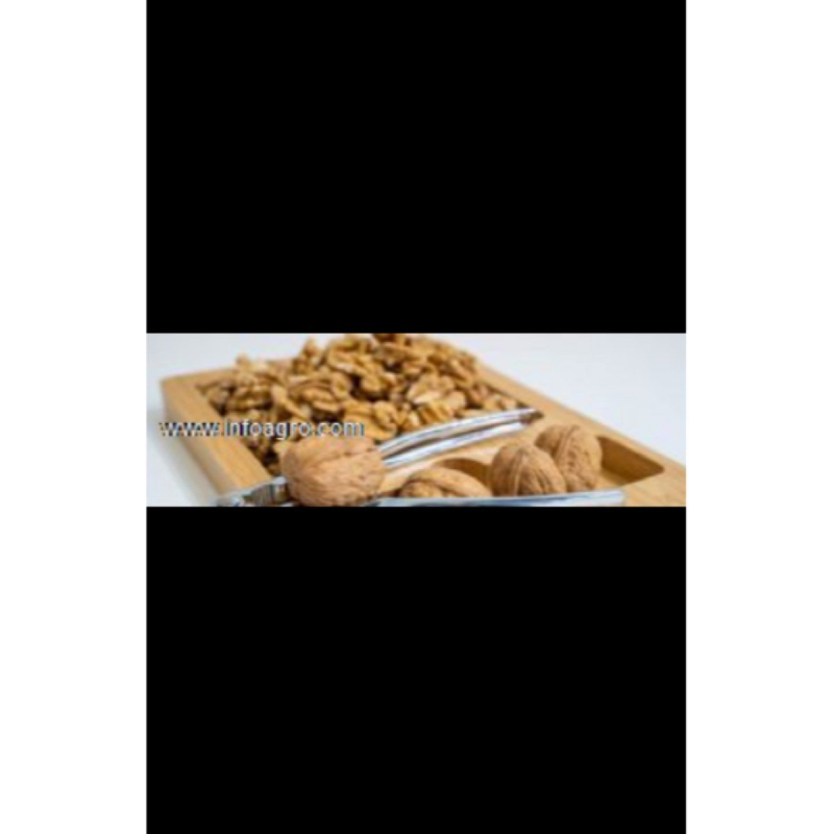 Se vende nueces francesas