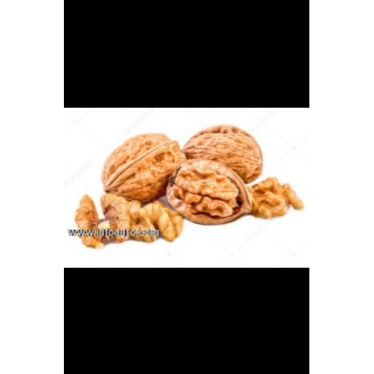 Se vende nueces francesas