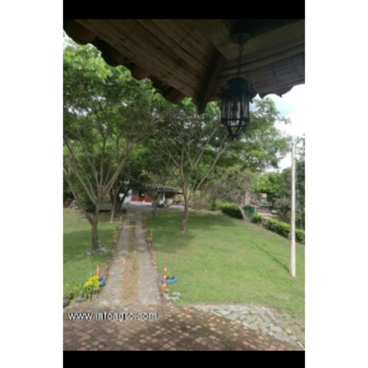 Se vende finca de 9 hectáreas, dos casas