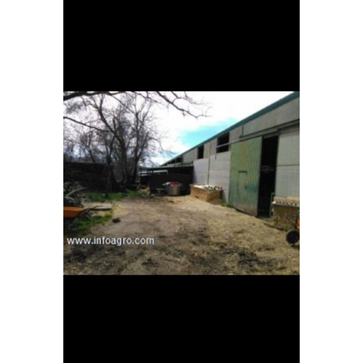 Se vende explotación caprina lechera en activo. ca