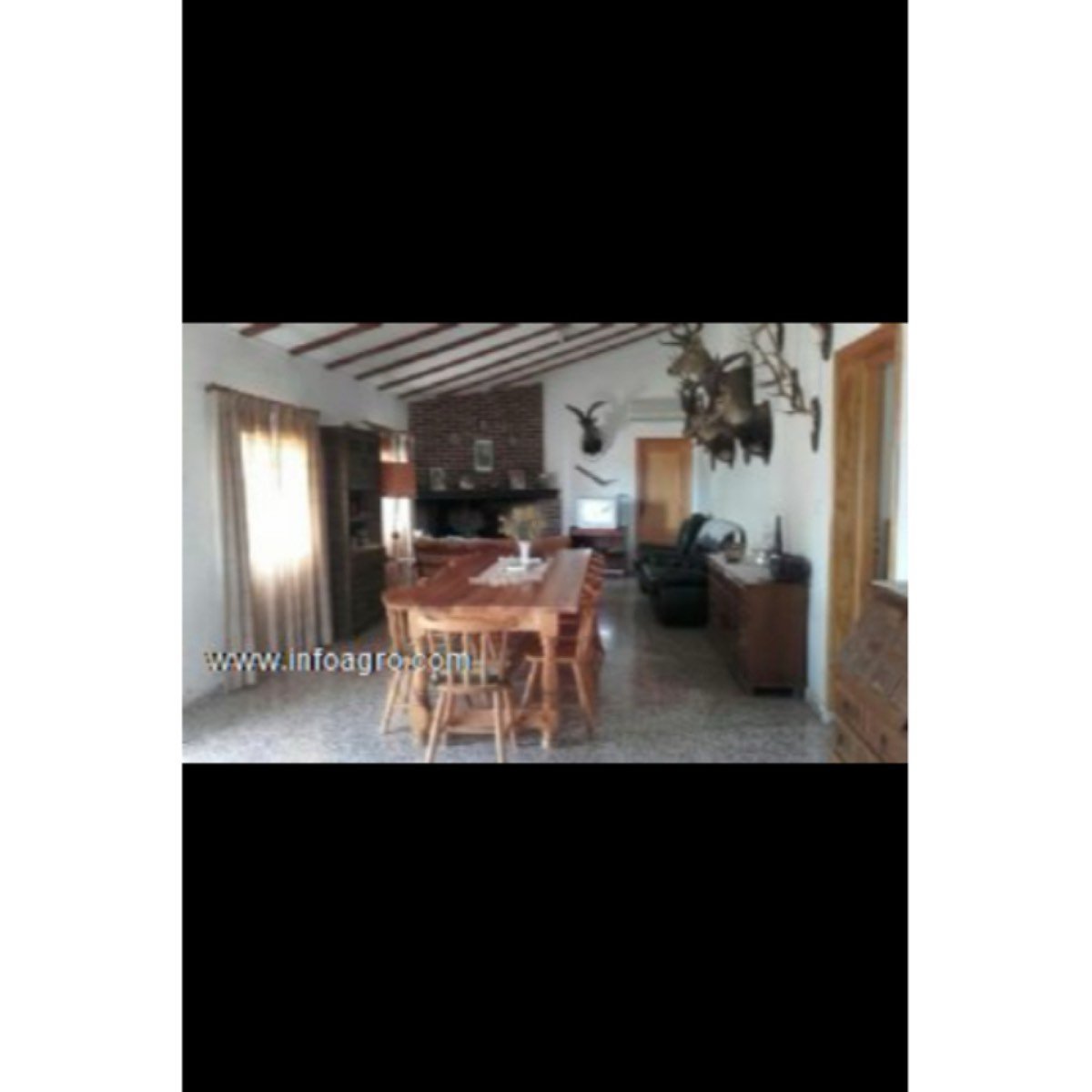 Se vende finca rústica con vivienda y 5000 olivos