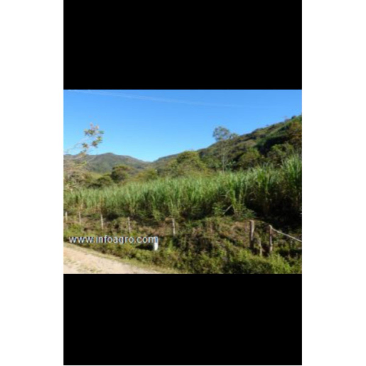 Se vende finca cultivos plátano,con micro empresa