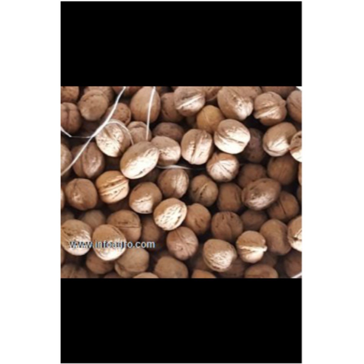 Se vende nueces cascara de Ucrania