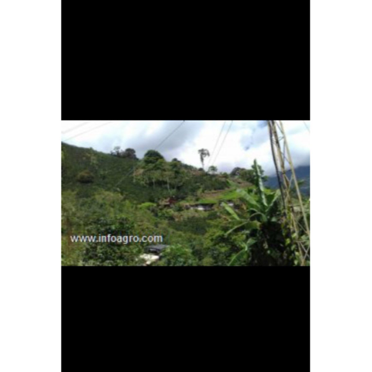 Se vende terreno de 773ha, 76 km hasta Santa Marta