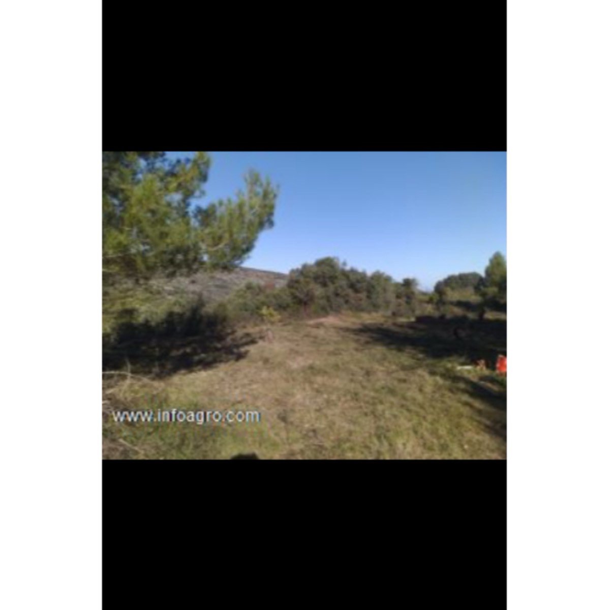 Se vende terreno rústico en llosa de camacho (alic