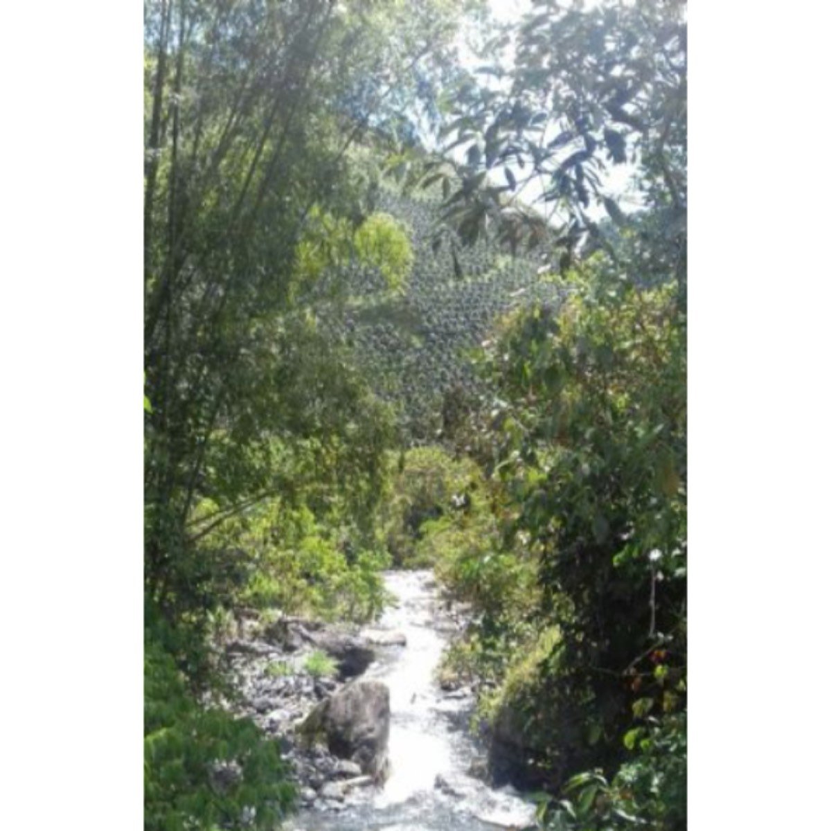 Se vende terreno de 773ha, 76 km hasta Santa Marta