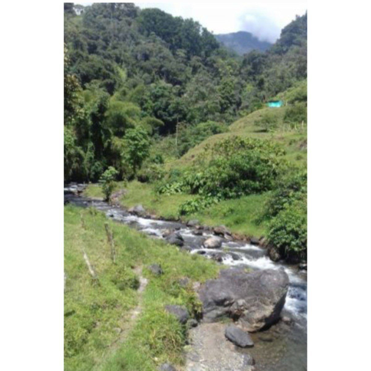 Se vende terreno de 773ha, 76 km hasta Santa Marta