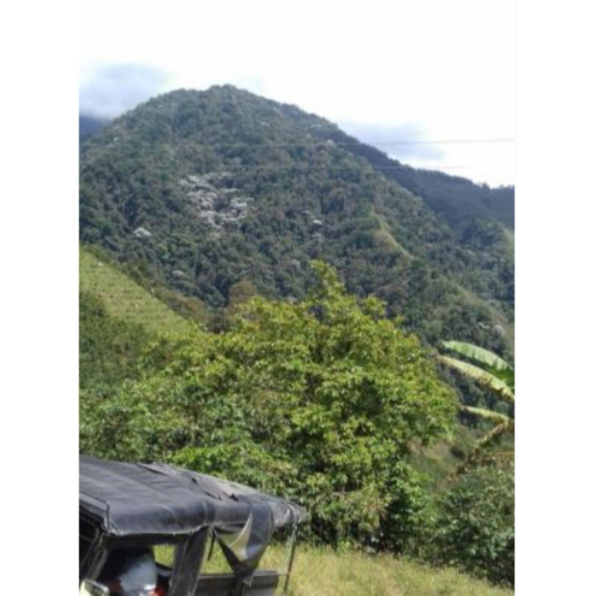 Se vende terreno de 773ha, 76 km hasta Santa Marta