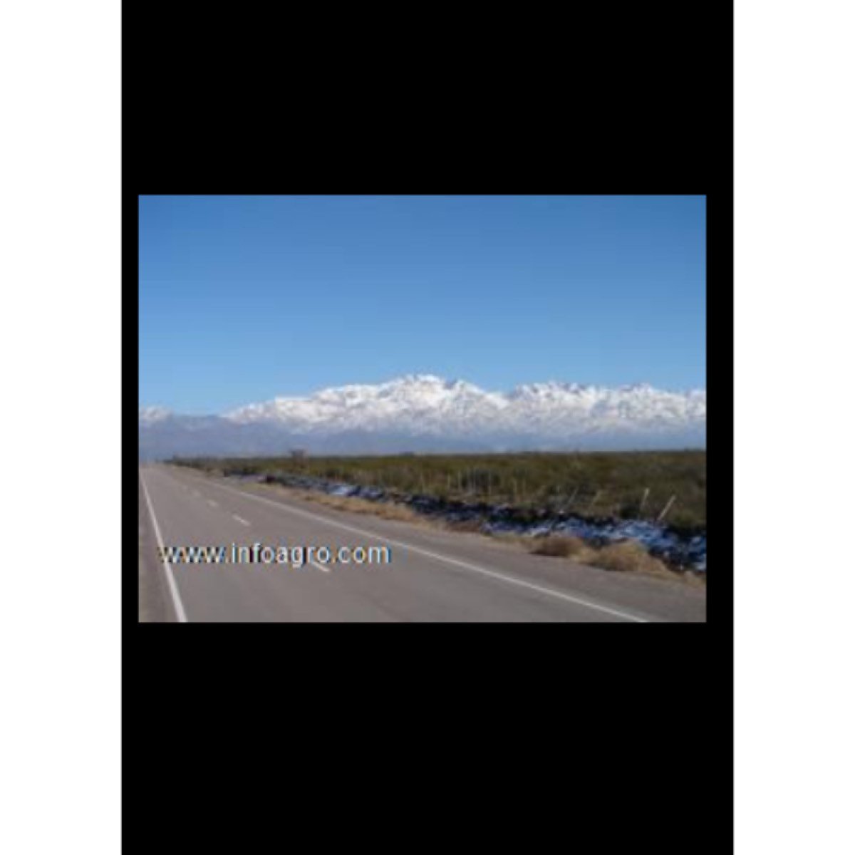 Se vende 540 has - ganaderas - campo