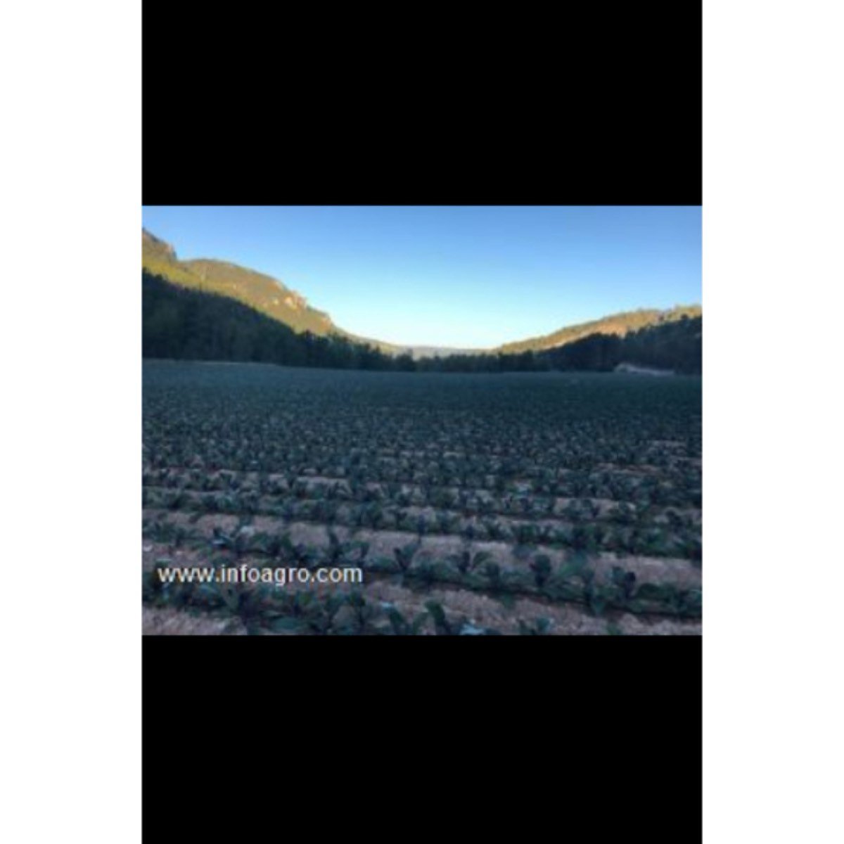 Se vende bonita finca