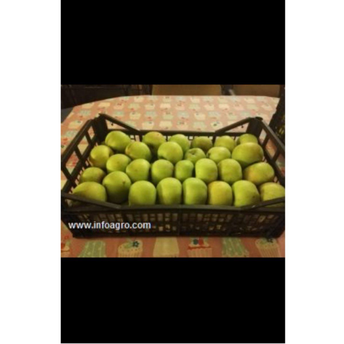 Se vende en león manzanas