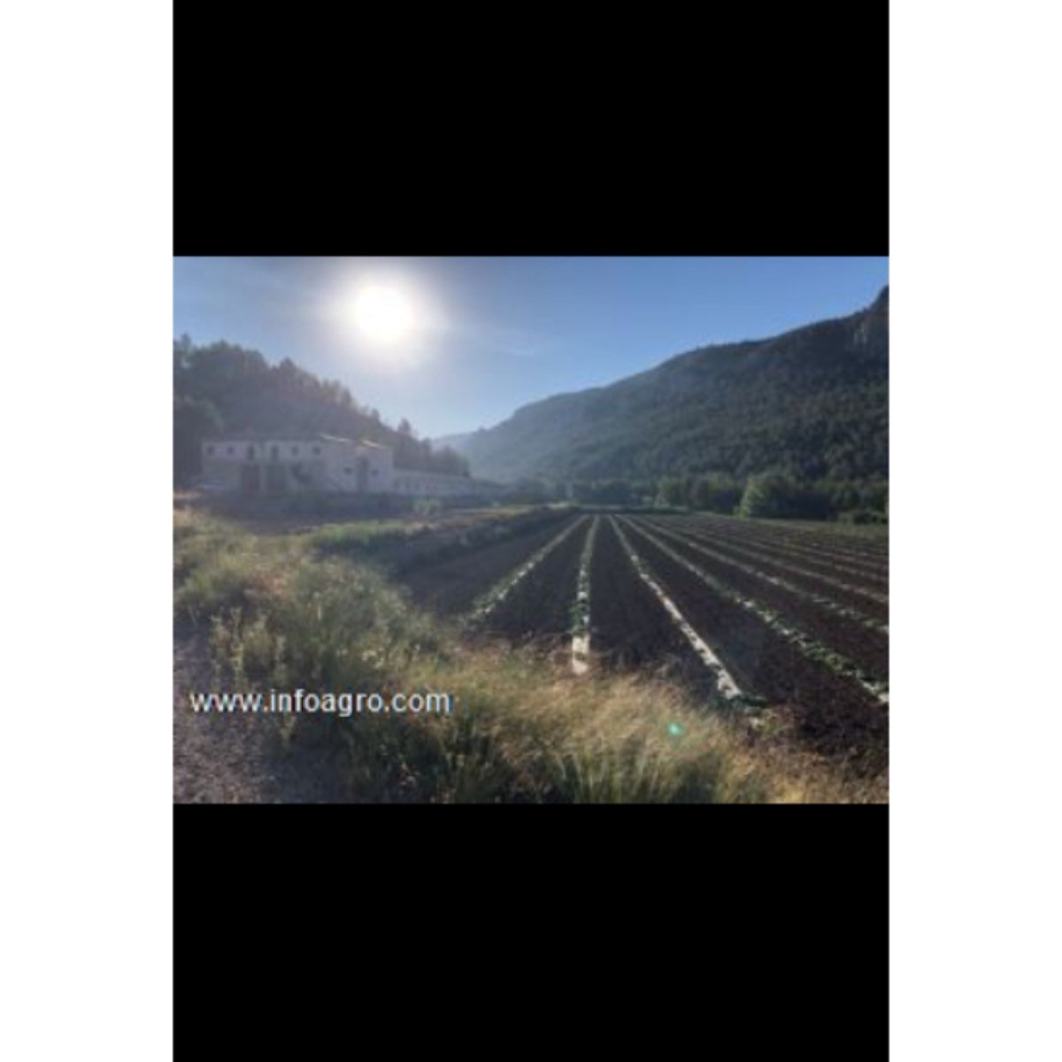Se vende bonita finca