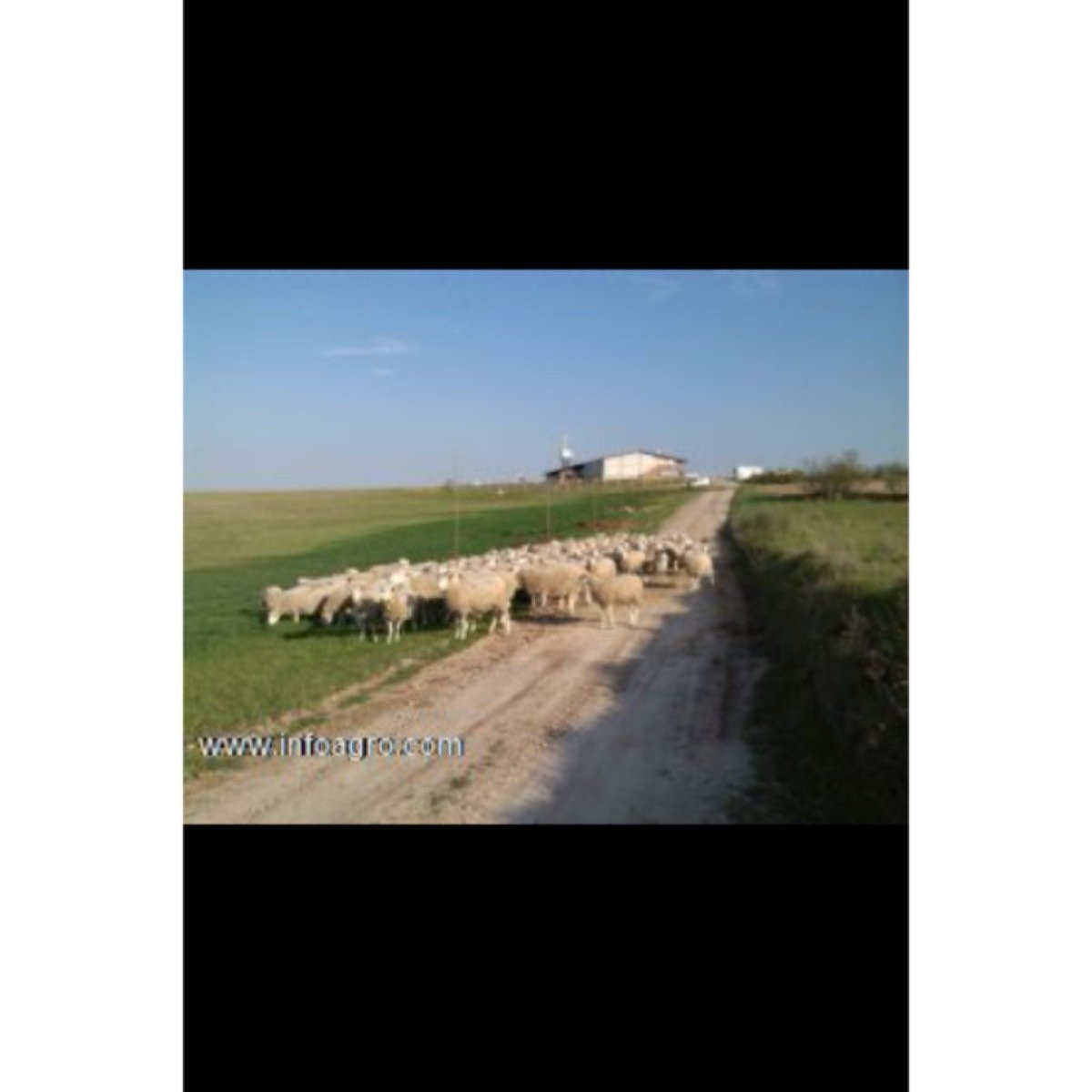 Se vende finca rustica, nave nueva, casar de escal