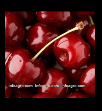 Se vende cherries / cerezas