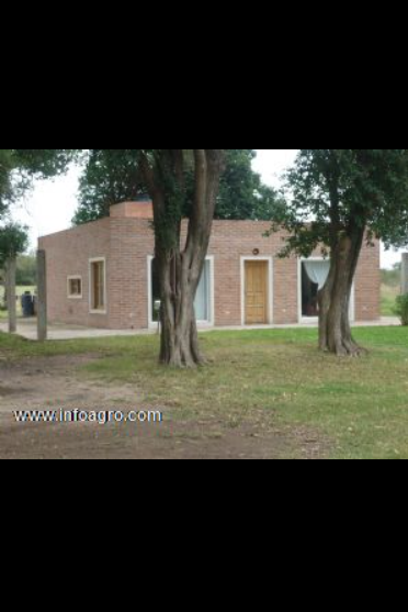 Se vende campo 36has. a 17km. de río cuarto.