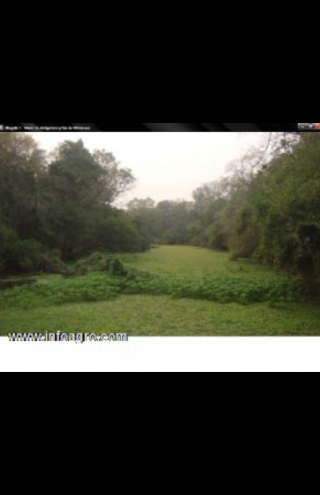 Se vende argentina: estancia en formosa