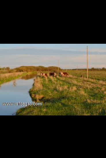 Se vende finca con regadío en argentina
