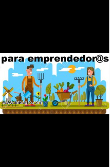 Se vende fincas de cultivo agrícola