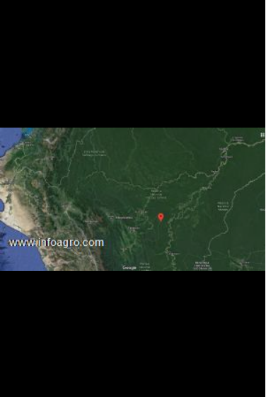 Se vende terreno agrícola en loreto de 22823 hec