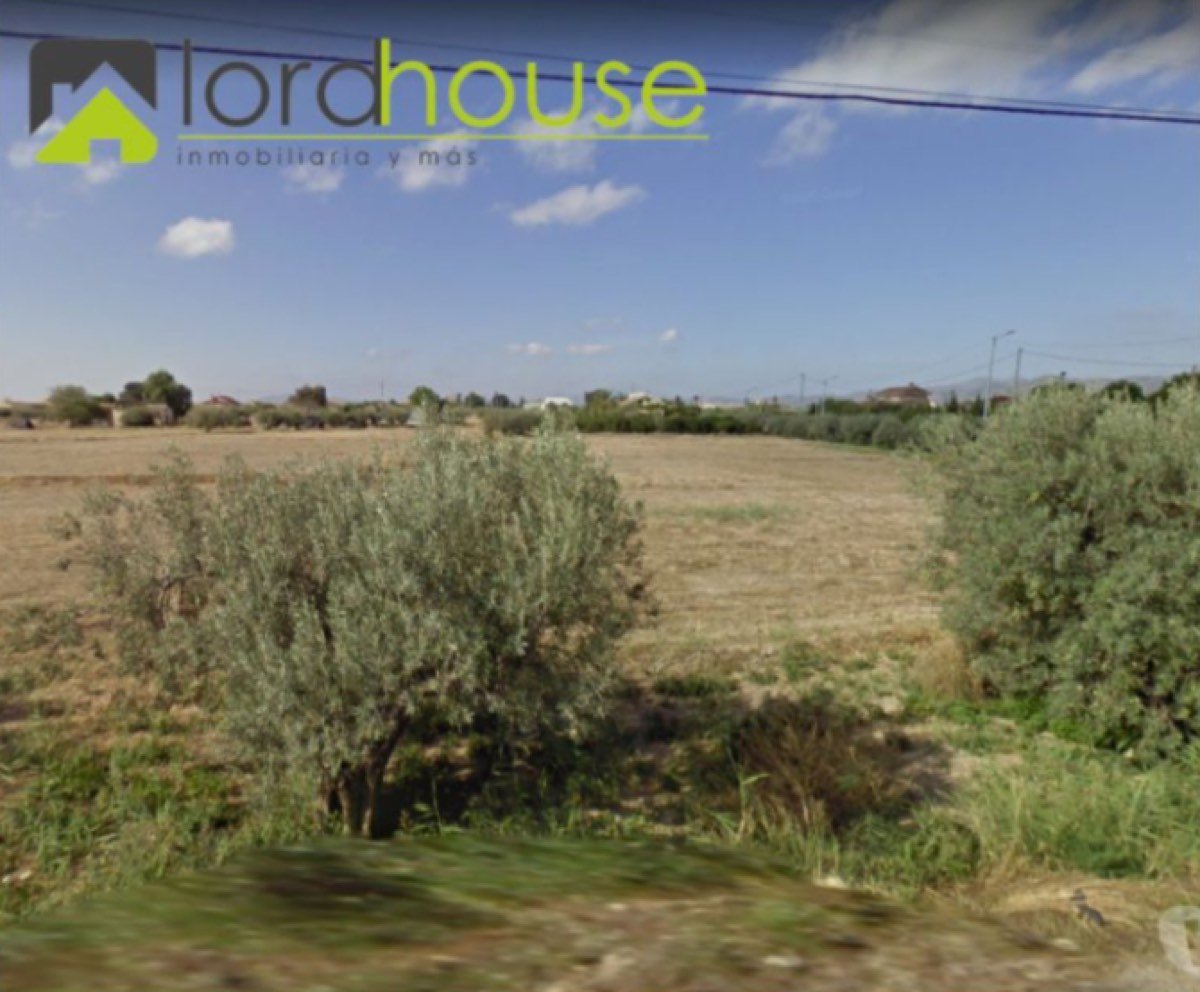 Parcela en la Pulgara a 4km de Lorca
