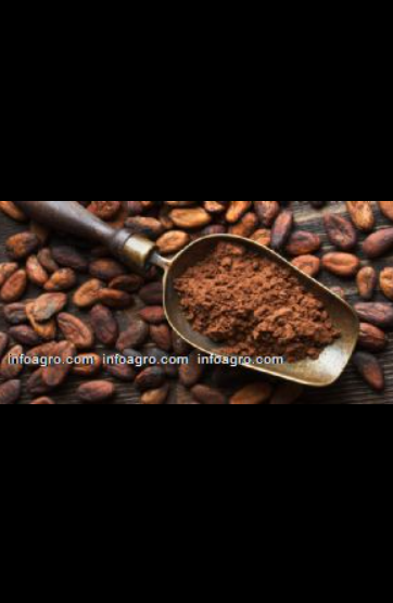 Se vende cacao