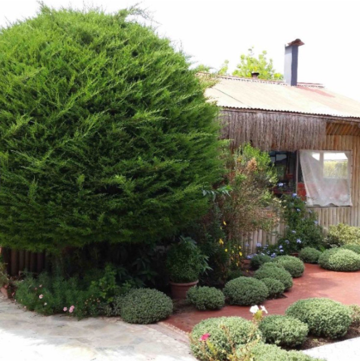 VENDE CAMPO EN PRODUCCION