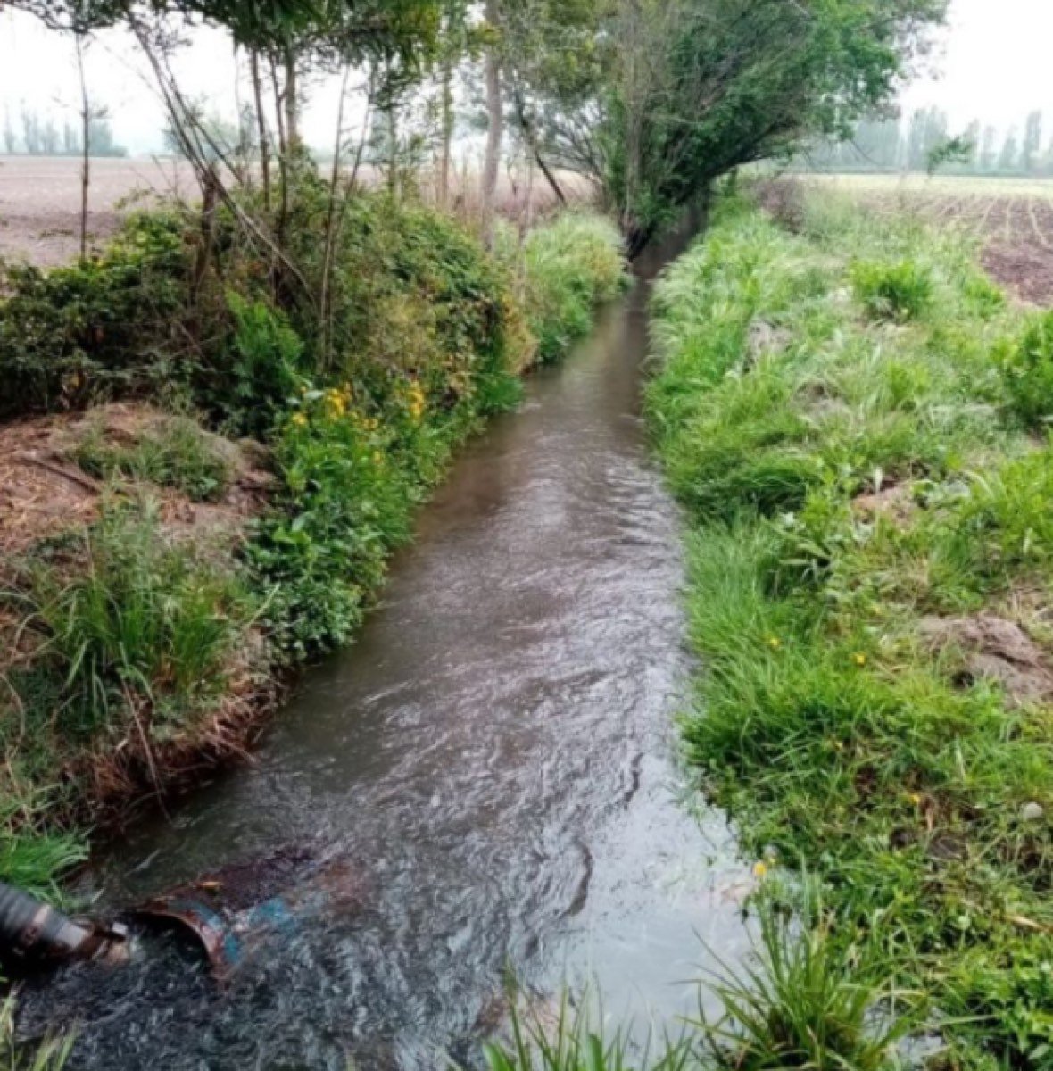 Campo de 22,4 hectáreas, con mucha agua