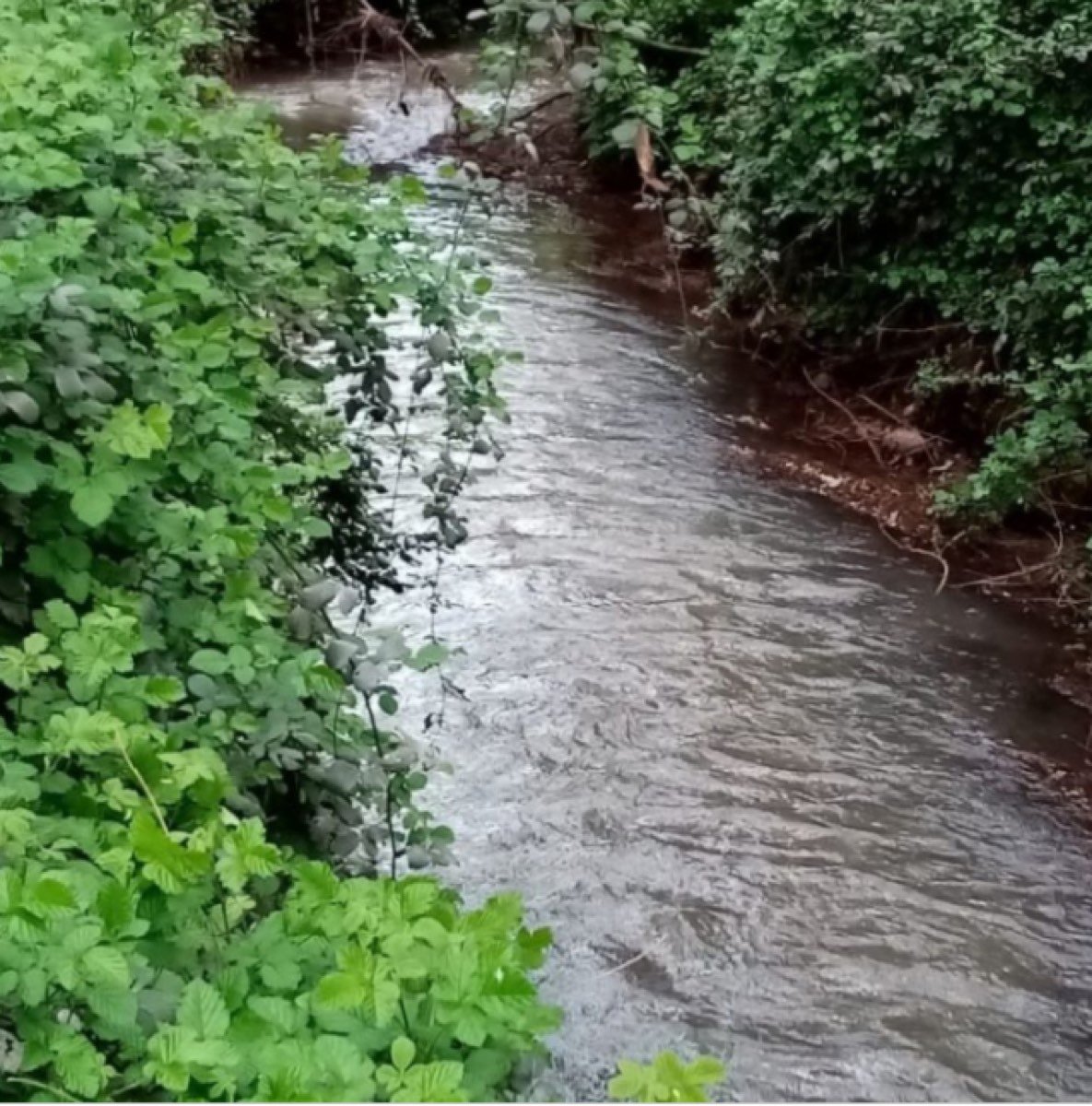 Campo de 22,4 hectáreas, con mucha agua