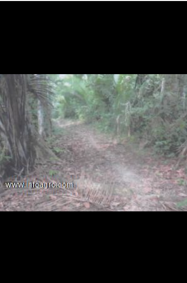 Se vende terreno agrícola en loreto de 22823 hec