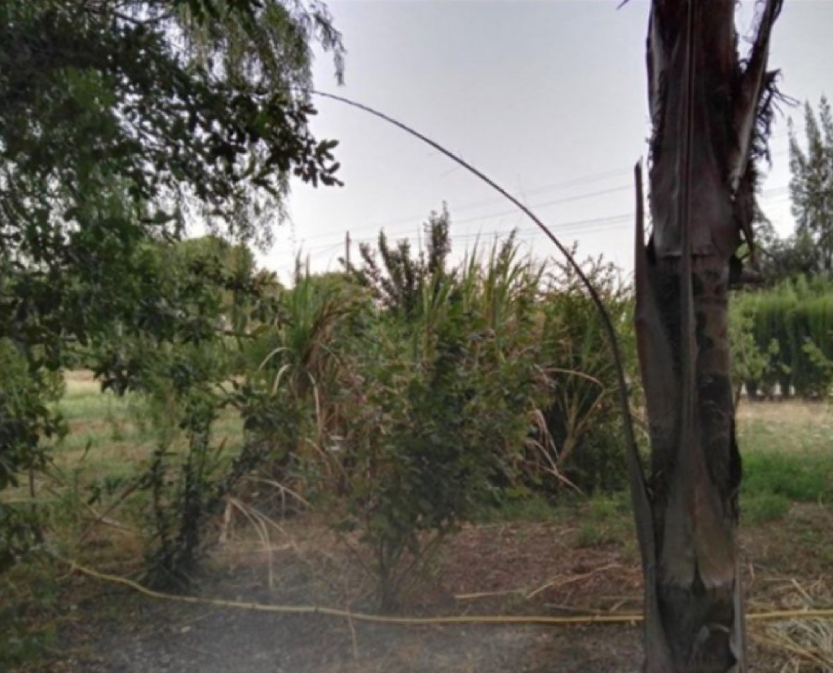 Venta de parcela en el Corzo