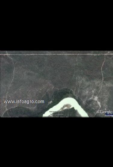 Se vende campo a desarrollar en formosa - argentin