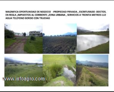 Se vende adquiera hermoso terreno en chapa de mota