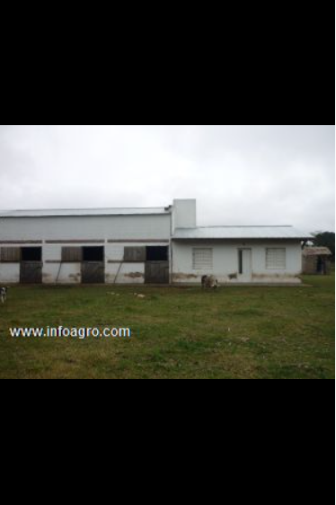 Se vende campo 36has. a 17km. de río cuarto.