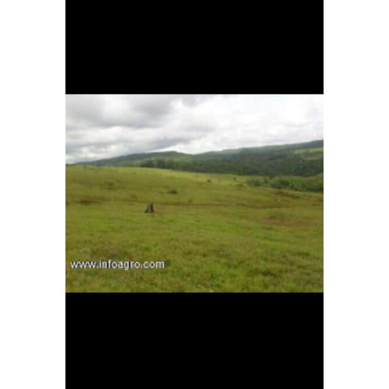 Se vende finca ganadera, agricola