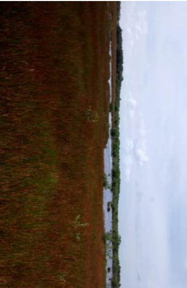 Se vende rancho en candelaria, campeche, méxico