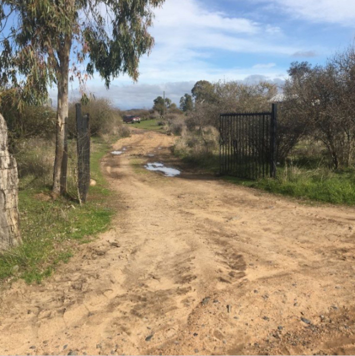 PARCELA CON CASA EN CAUQUENES 30 HECTAREAS IDEAL V