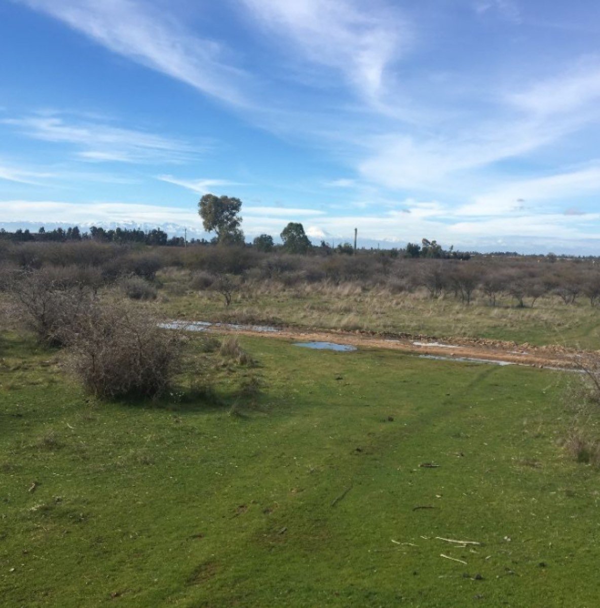 PARCELA CON CASA EN CAUQUENES 30 HECTAREAS IDEAL V