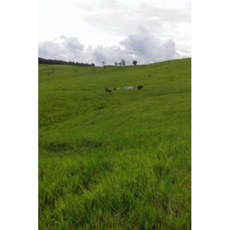 Se vende finca ganadera, agricola