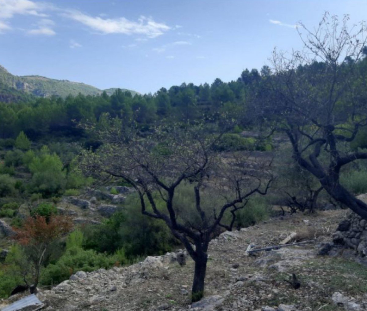 Parcela de 57000m2