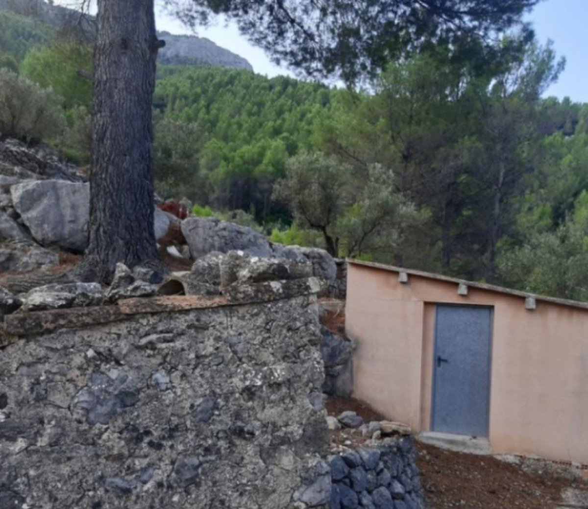 Parcela de 57000m2