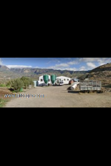Se vende granja porcina en santa lucía de tirajana