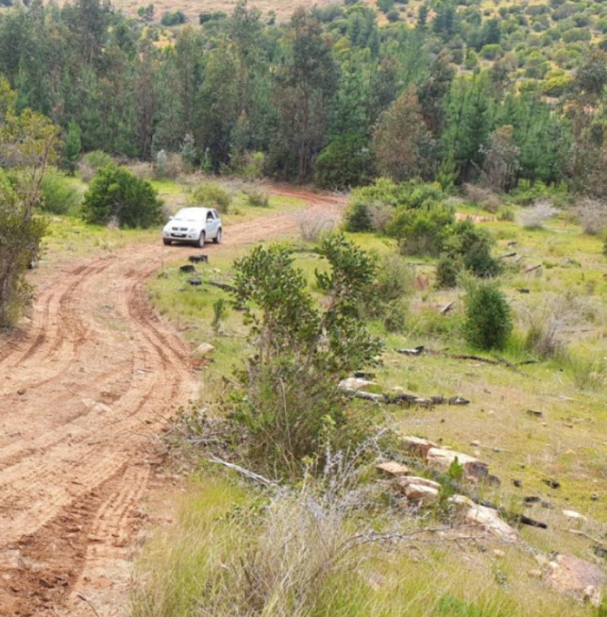 Terreno de 55 has