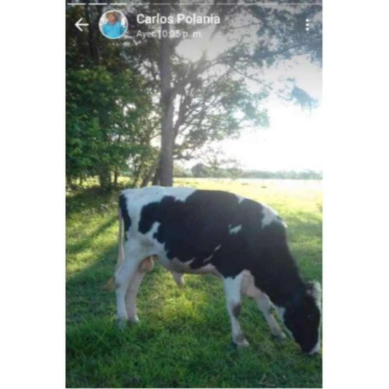 Se vende malla polisombra negra